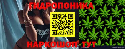 дмт Тулун
