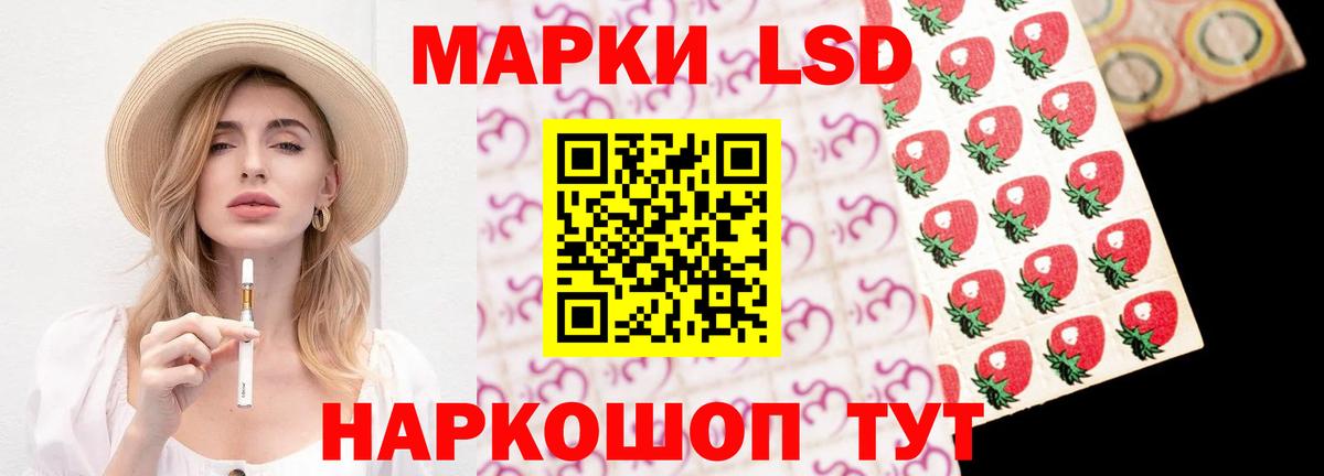 Новоалександровск  ЛСД экстази кислота  LSD-25 экстази ecstasy  LSD-25 экстази  Вход с VPN 