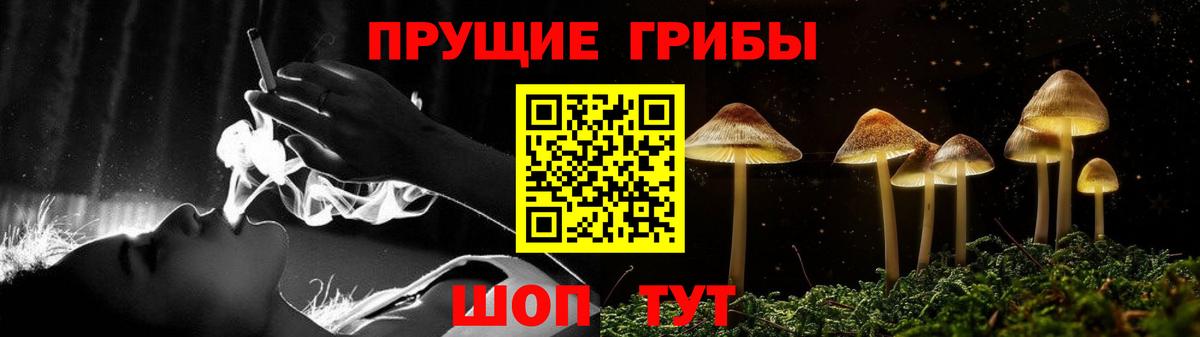 Псилоцибиновые грибы ЛСД Новоалександровск