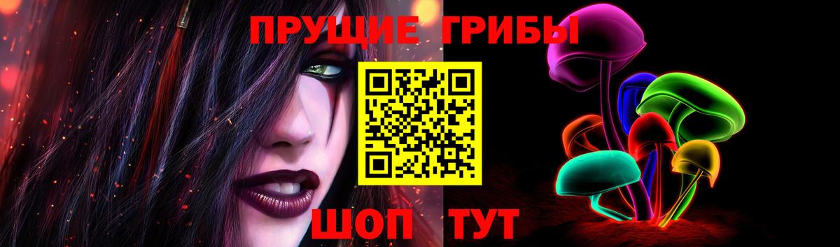 Галлюциногенные грибы Psilocybe  как найти закладки  Новоалександровск  Вход с VPN 