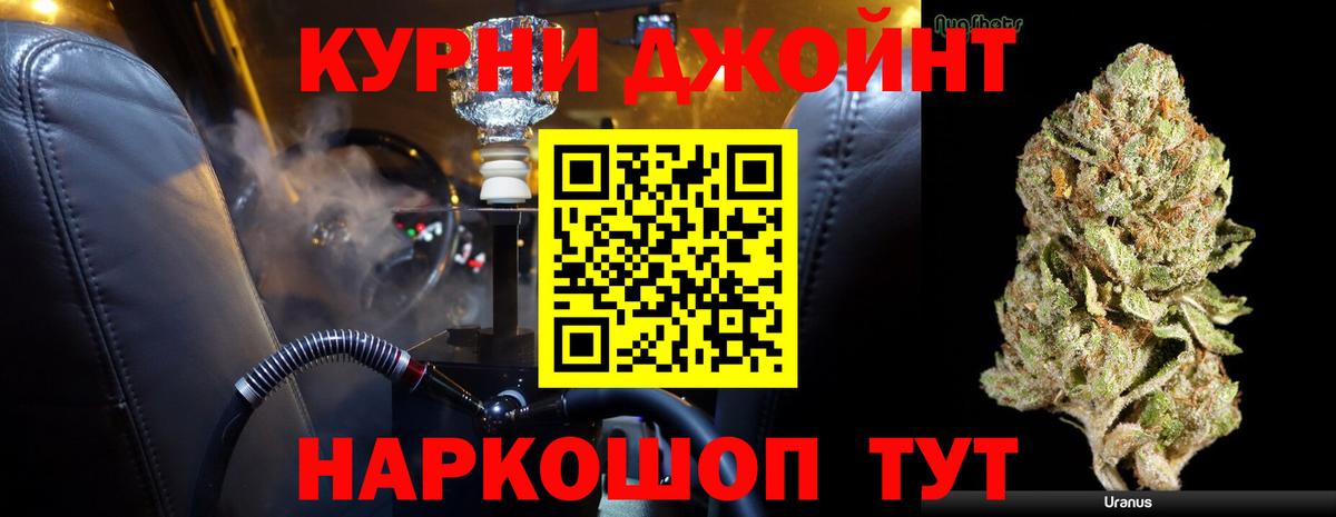 Новоалександровск  Бошки Шишки Ganja  Вход с VPN  Шишки марихуана планчик  Бошки марихуана Amnesia  Шишки марихуана сатива 